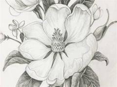 在哪里可以查離婚沒離婚 查離婚沒離婚去哪里查