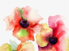 兔男2023年運程,屬兔男2023年每月運勢及運程