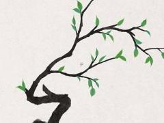 請問屬鼠人的婚配屬什么才好 屬鼠的人應該婚配什么屬相最好