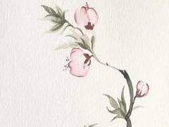 王俊凱的八字事業 王俊凱八字排盤