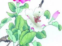 八字時(shí)柱童子代表什么意思 童子煞在八字中代表什么意思