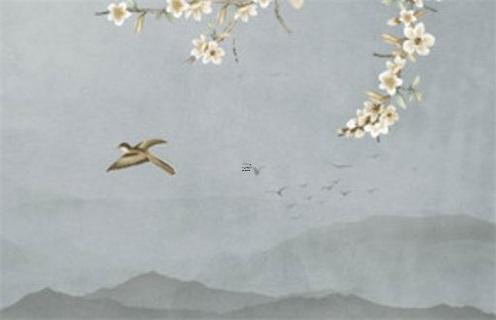 客廳養什么植物最旺家 客廳最忌諱三種花 客廳養什么植物最旺家 客廳最忌諱三種花