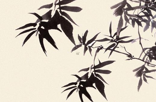 女屬羊配什么屬相最好 女的屬羊和什么最配 女屬羊配什么屬相最好 女的屬羊和什么最配