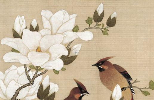 屬虎男最想娶的生肖女生 屬虎男應(yīng)該找屬什么屬配偶