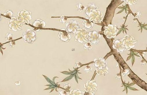 天秤座女生的幸運花是什么 天秤座女生幸運植物 天秤座女生的幸運花是什么 天秤座女生幸運植物