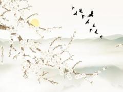 鼻梁上有痣的女人命運怎么樣 鼻梁上有痣是好還是壞