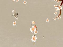 雙魚(yú)座幸運(yùn)號(hào)碼 雙魚(yú)座的幸運(yùn)號(hào)是什么