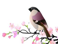 八字能算出一個人做什么工作嗎 八字能算出一個人的婚姻嗎