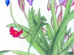 屬兔本命年應該佩戴什么生肖飾品,屬兔的本命年佩戴什么吉祥物