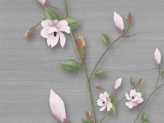 將太歲作為手機(jī)屏保好么,犯太歲屏保