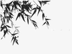 算命的說離婚后孩子會跟媽 算命說是要離婚是不是離了就好