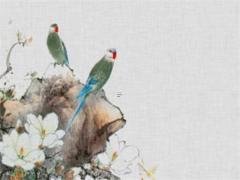 算命說的官運指的是什么意思 算官運準嗎