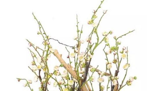 本命年兔男適合戴什么生肖,屬兔男本命佛是什么佛