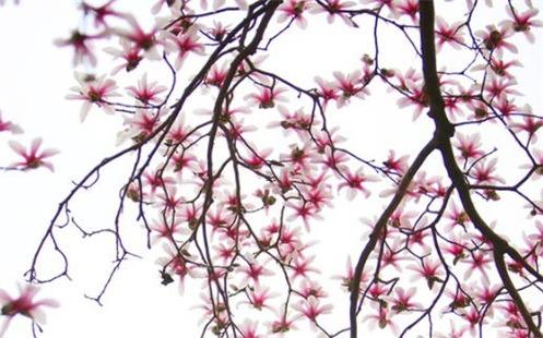 算命中流相是什么意思 算命中流連是什么意思 算命中流相是什么意思 算命中流連是什么意思