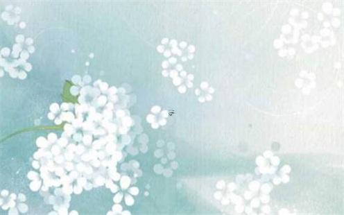 根據出生日期測陰陽 出生日期查陰陽 根據出生日期測陰陽 出生日期查陰陽