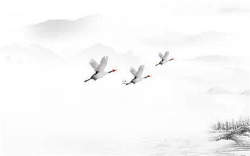 屬兔本命年戴什么合適女生,屬兔本命佛的佩戴禁忌