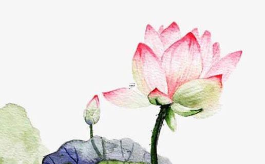 天蝎座和獅子座友誼指數哪個高 天蝎和獅子的友誼 天蝎座和獅子座友誼指數哪個高 天蝎和獅子的友誼