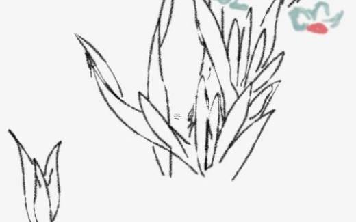 牢獄八字100例 牢獄之災(zāi)八字中早已注定