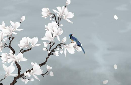 屬牛的最佳配偶屬相兔 屬牛兔最佳婚配屬相 屬牛的最佳配偶屬相兔 屬牛兔最佳婚配屬相