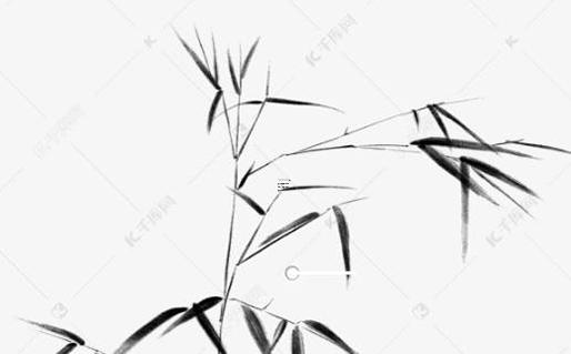 雙子座和獅子座適合做閨蜜嗎男生 雙子座和獅子座能做閨蜜嗎