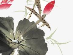 通過生辰八字算出離婚 生辰八字離婚一定會離婚嗎