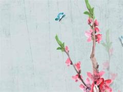 貴陽哪里有算八字準的人 貴陽市哪里有算命準的