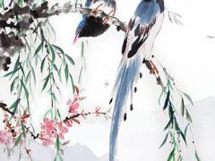 本命年穿紅色有科學依據嗎,本命年穿紅色的寓意是什么