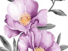 生肖兔適合養(yǎng)狗嗎？,屬兔子適合養(yǎng)狗嗎