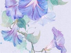 耗特在八字是什么意思 耗是啥意思