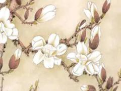 八字喜用神方位求財 八字喜用神找法