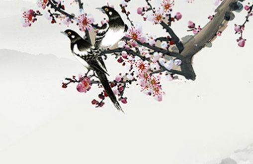 屬雞人干什么發(fā)財(cái) 屬雞2023年家破人亡 屬雞人干什么發(fā)財(cái) 屬雞2023年家破人亡