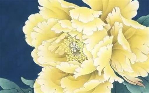 64年的婚姻與命運 1988屬龍的婚姻和命運 64年的婚姻與命運 1988屬龍的婚姻和命運