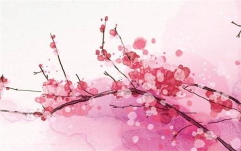 屬年的年份表及年齡 鼠年是哪一年 屬年的年份表及年齡 鼠年是哪一年