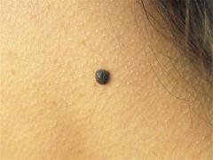 怎樣從下巴外形看命運如何,從下巴看人