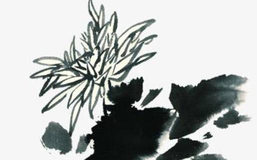 怎樣是八字食傷吐秀 八字食傷怎么算