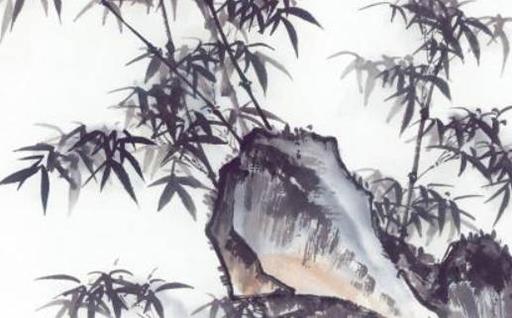 屬兔本命年三合生肖運勢如何,屬兔的本命年好不好 屬兔本命年三合生肖運勢如何,屬兔的本命年好不好