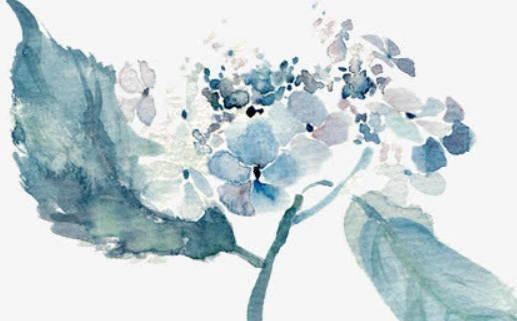 2024年屬猴出行方向吉日合適與否 2024年屬猴出行方向吉日合適與否