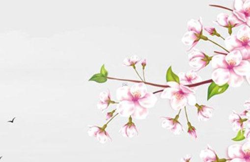 2024年屬猴搬家合適日期推薦 2024年屬猴搬家合適日期推薦