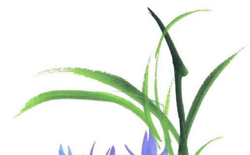 2024年屬虎結婚哪日吉利測算 2024年屬虎結婚哪日吉利測算