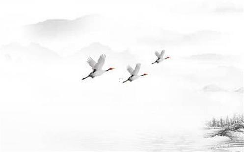 2024年屬牛安門(mén)適宜日期查詢(xún) 2024年屬牛安門(mén)適宜日期查詢(xún)