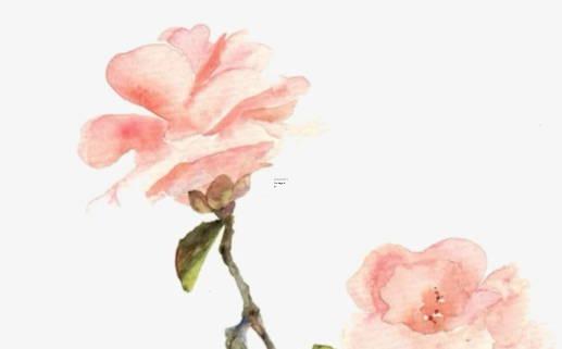 2024年屬兔入宅最佳的入宅時(shí)間 2024年屬兔入宅最佳的入宅時(shí)間