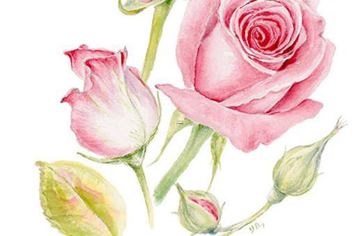 2024年屬猴安門好的時辰查詢 2024年屬猴安門好的時辰查詢