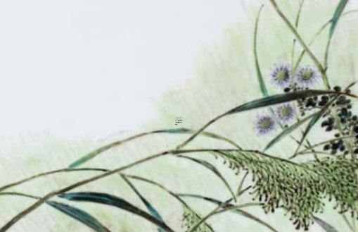 2024年11月適合結(jié)婚的吉日推薦 選擇吉日幸福美滿 2024年11月適合結(jié)婚的吉日推薦 選擇吉日幸福美滿