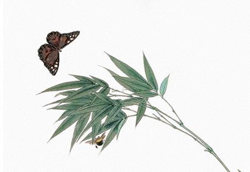 2024年12月新房開火吉日查詢表 2024年12月新房開火吉日查詢表