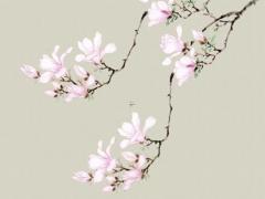 2024年屬鼠安床吉日吉時查詢相關(guān)知識