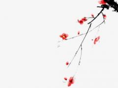 2024年屬狗結(jié)婚吉日最好哪天