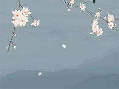 2024年屬馬最好結(jié)婚哪日