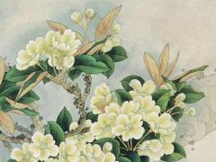 2024年屬雞開(kāi)張合適的時(shí)間