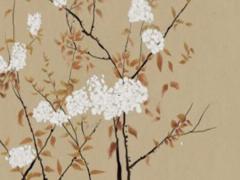 2024年屬馬訂婚適宜時(shí)間