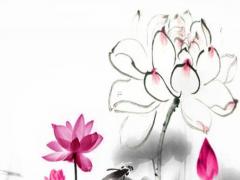 2024年屬豬人動土建房哪時(shí)吉利